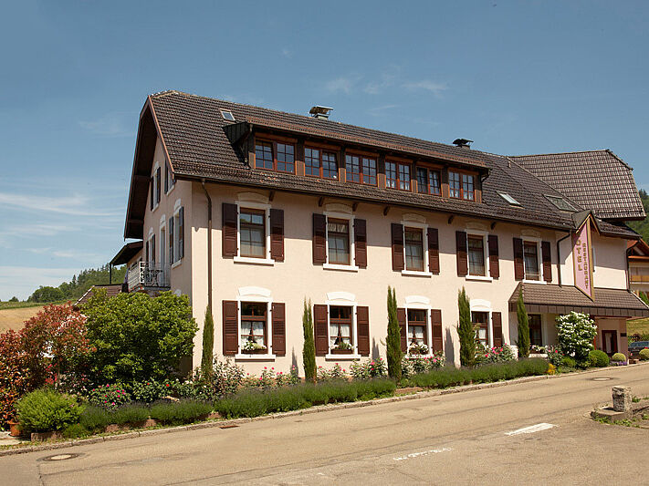 Rebstock Kappelwindeck
